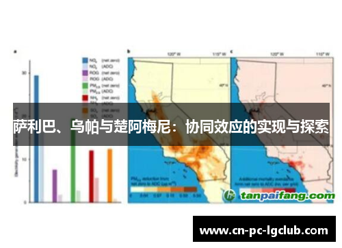 萨利巴、乌帕与楚阿梅尼：协同效应的实现与探索